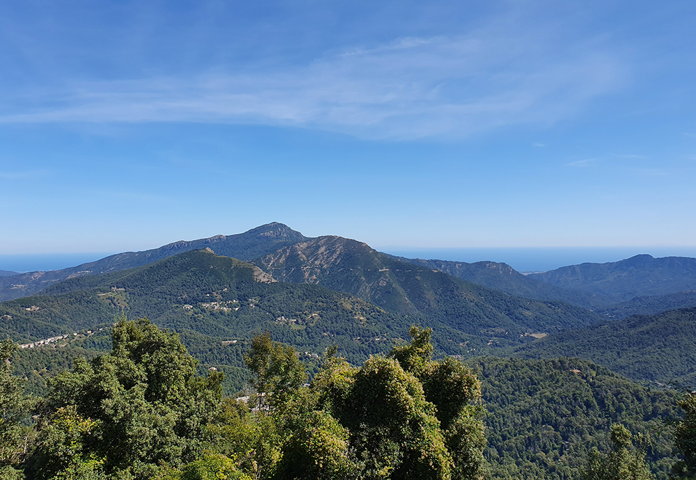La Castagniccia et le Monte San Pedrone en Corse